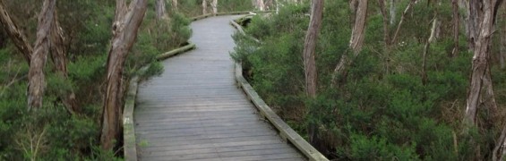 balcombecreekboardwalk