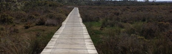 crib_point_boardwalk