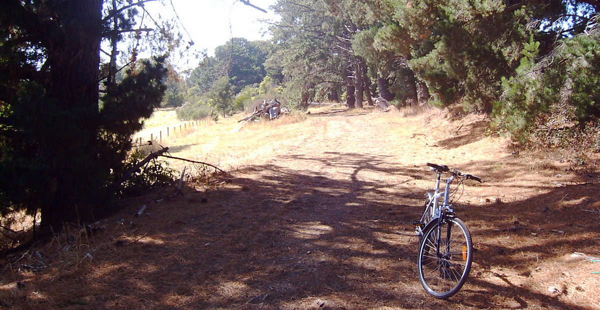 Red Hill 2007-01