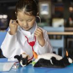 Calling all Junior Penguin Keepers! Hop into the boots of SEA LIFE Melbourne’s penguin keepers this winter