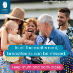 Breastfeeding through the Holiday Season